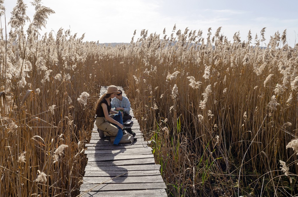 09 Maria Nalbantova Dragoman Marsh 2023  field recordings photo Atanas Giew